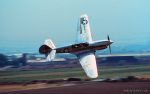 USAAF United States Army Air Force Curtiss P-40 Warhawk