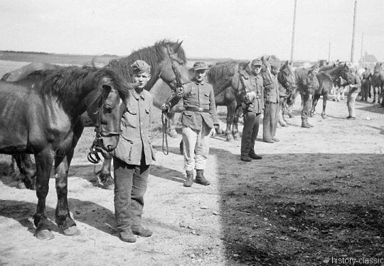 Wehrmacht Heer Armeepferde Pferdegespanne - Versorgung / Transport