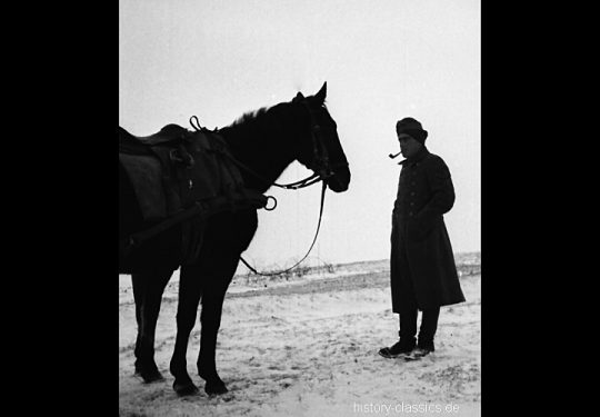 Wehrmacht Heer Armeepferde Pferdegespanne – Versorgung / Transport