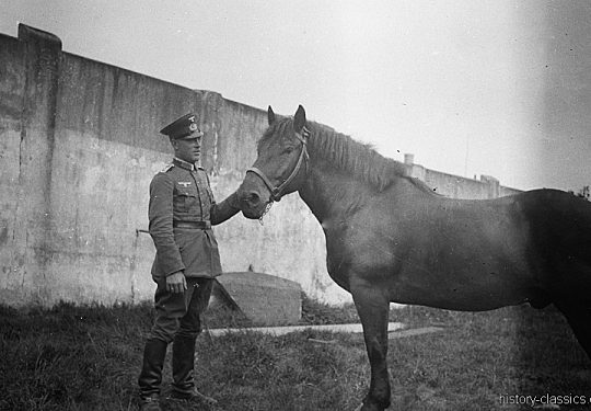 Wehrmacht Heer Armeepferde Reitpferde / Offizierspferde