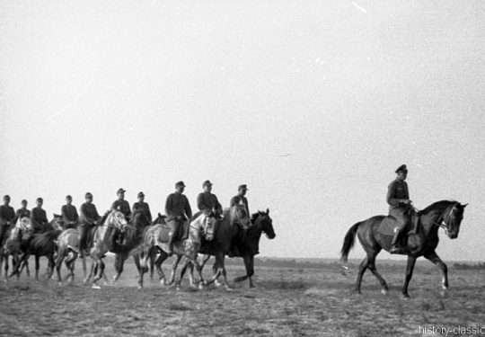 Wehrmacht Heer Armeepferde Reitpferde / Offizierspferde - Frankreich 1944