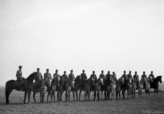 Wehrmacht Heer Armeepferde Reitpferde / Offizierspferde - Frankreich 1944