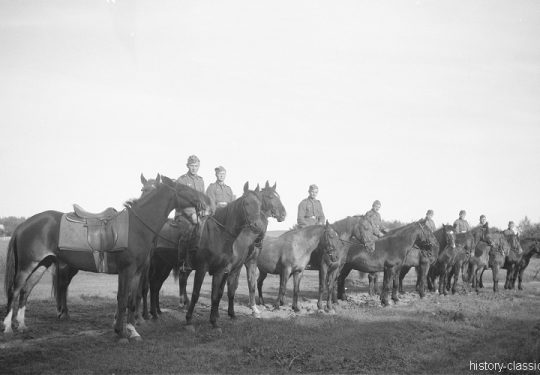 Wehrmacht Heer Armeepferde Reitpferde / Offizierspferde