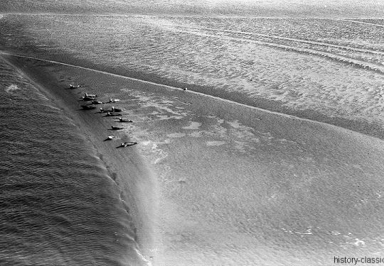 Momentaufnahme Insel Memmert / Snapshop Memmert Island - Schutzgebiet für Seehunde / Sanctuary for Seals - 1958
