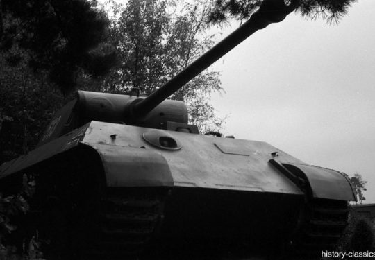Wehrmacht Heer Panzerkampfwagen V PzKpfw V Panzer V Ausf. A Panther - 513